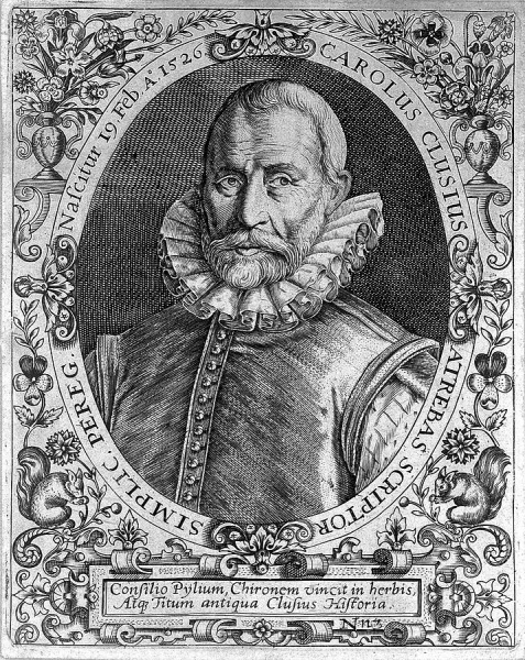 File:Ecluse, Charles 2.jpg