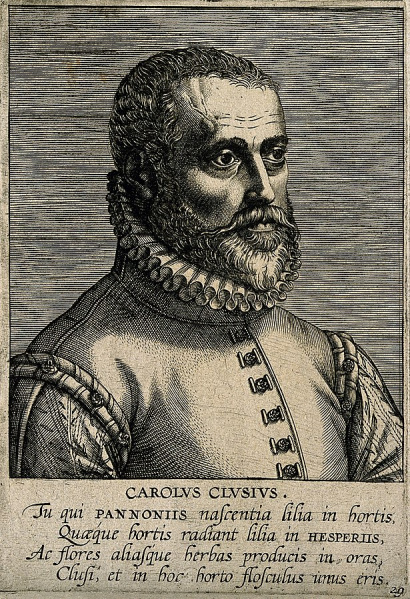 File:Ecluse, Charles 3.jpg