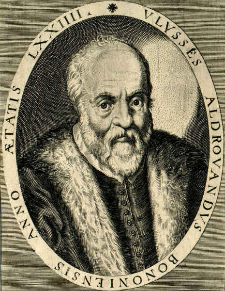 File:Aldrovandi, Ulisse 2.jpg